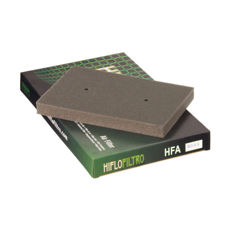 HIFLOFILTRO Air Filter Element  HFA2505